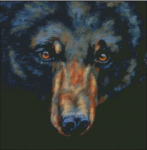 (image for) I See